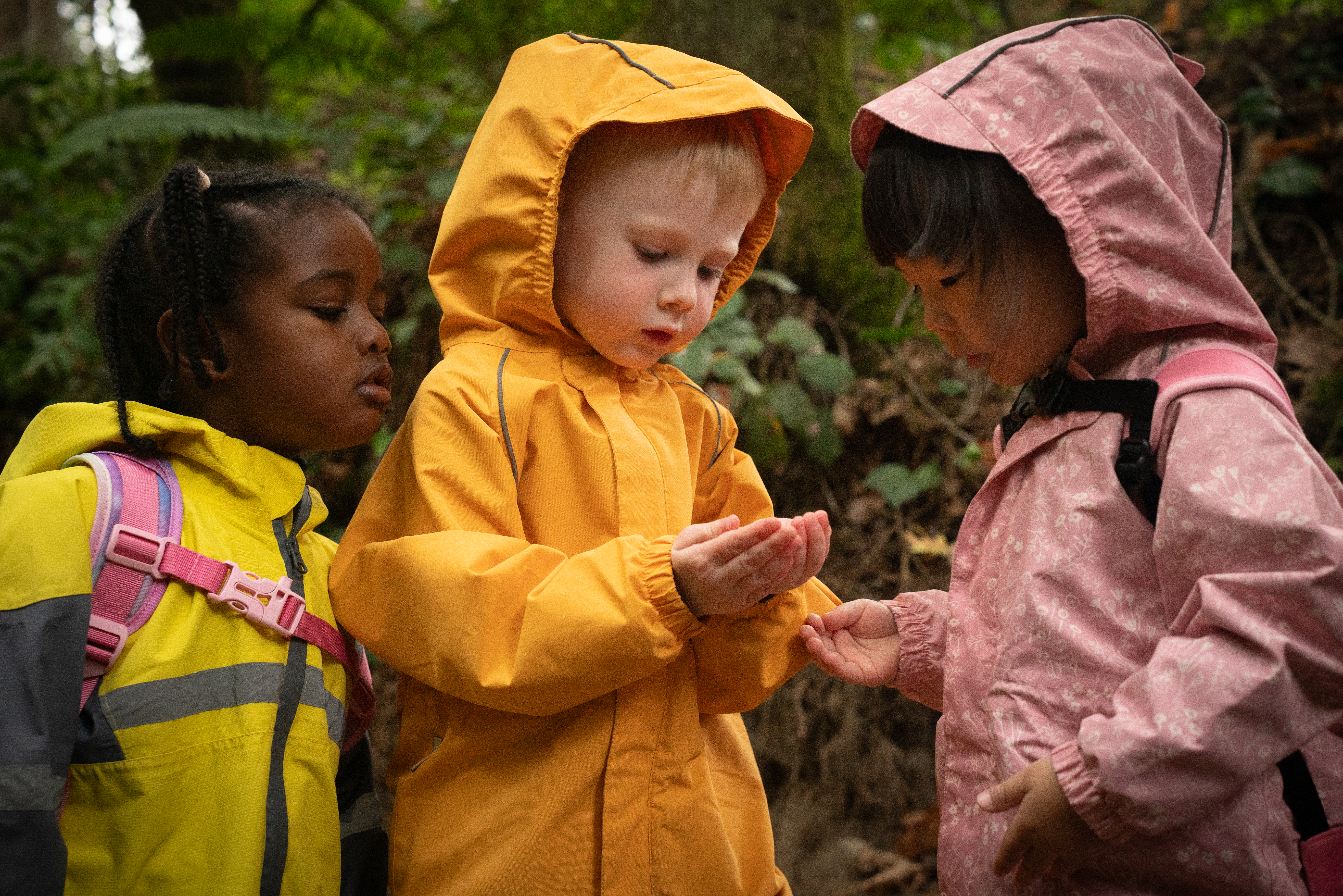 Three Beginning School children in the CWA forest exploring their surroundings.